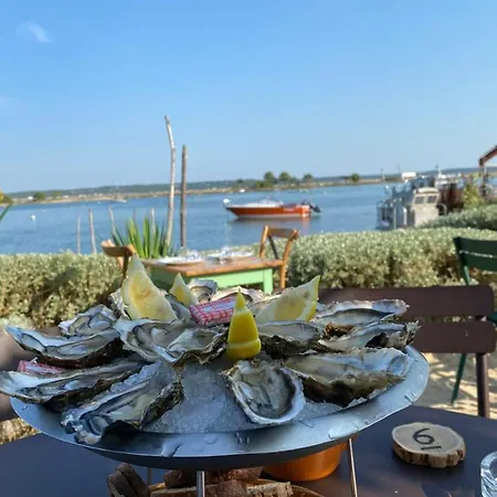 Piscine Chauffee & Sur Le Bassin D Arcachon - Proche Et Ocean *