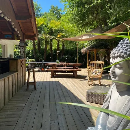 Σπίτι διακοπών Piscine Chauffee & Sur Le Bassin D Arcachon - Proche Et Ocean Lanton